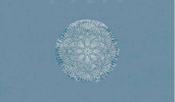 A Winged Victory For The Sullen: Atomos - Vinyl