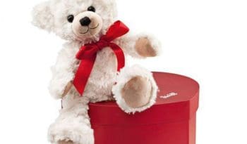 Sweetheart Teddy Bear In Heart Box