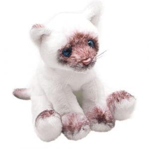 Sitting Siamese Cat
