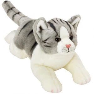 Resting Grey & White Tabby Cat