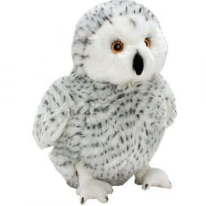 Resting Snowy Owl