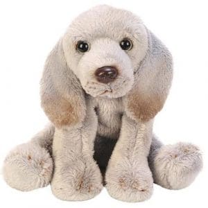 Sitting Weimaraner