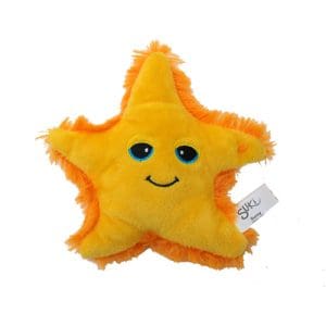 Small Sunny Starfish