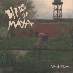 Birds Of Maya: Valdez - Vinyl