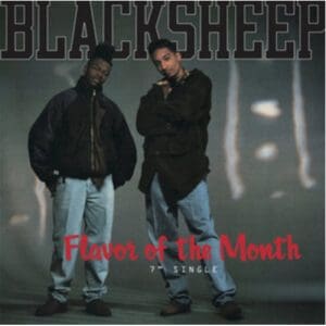 Black Sheep: Flavor Of The Month - Vinyl
