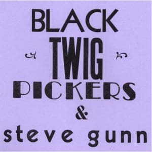 Black Twig Pickers & Steve Gun: Lonesome Vally - Vinyl