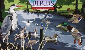 British Birds Collection - River Birds DVD & Jigsaw