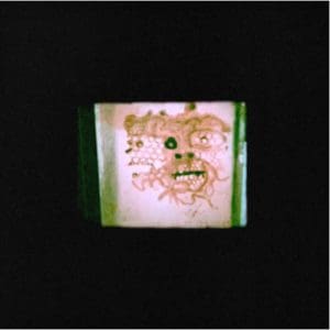 Chris Orrick & The Lasso: I Read That I Was Dead - Vinyl