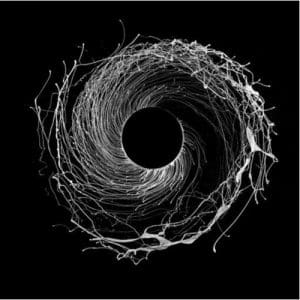 Dawn Of Midi: Dysnomia - Vinyl