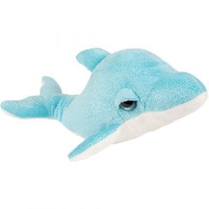 Medium Smoothie Dolphin