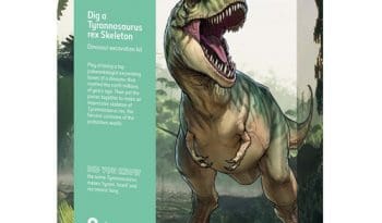National History Museum Dig a Tyrannosaurus Rex Skeleton