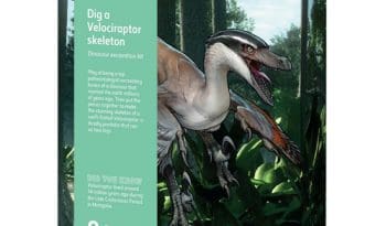 National History Museum Dig a Velociraptor Skeleton