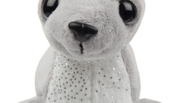 Small Grey Seal