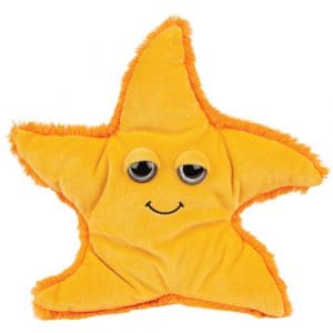 Small Sunny Starfish