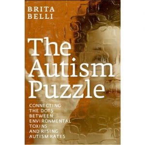 The Autism Puzzle - Paperback