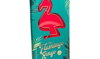 Totally Tropical: Flamingo Ringo