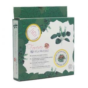 Stems and Foliage Kit 2, Forever Flowerz